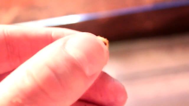 ЙЕМЕНСКИЙ ХАМЕЛЕОН, ЖИРОВАЯ КЛАДКА смотреть онлайн