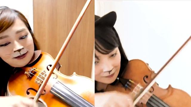 【猫ふんじゃった】バイオリンデュオでワルツのステップもふんじゃった| The Flea Waltz for two violins смотреть онлайн