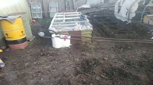 Культиватор Champion BC4311 в руках женщины (отобрала у мужа) или КАК БЫСТРО ВСКАПАТЬ ГРЯДКИ.