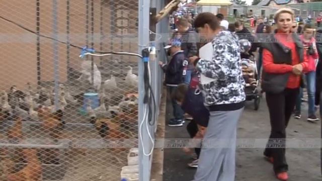 В минувшие выходные в Златоусте открылся парк птиц «Таганай» смотреть онлайн