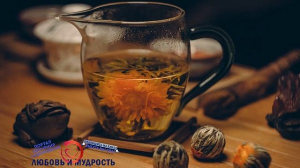 Чай с бергамотом вся польза и вред. Полезные свойства бергамота и противопоказания