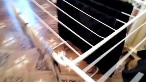 Как выбрать сушилку для белья. Посвору