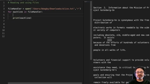 Looping through a text file смотреть онлайн
