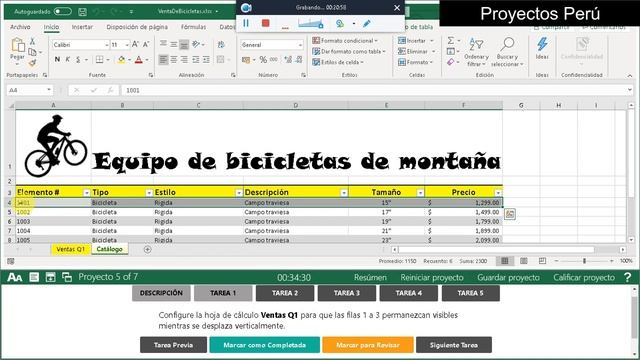 Examen de certificacion Excel 2016- EXAMEN1-2020 смотреть онлайн
