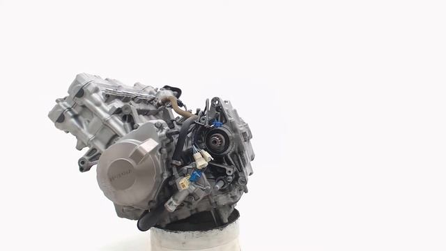 Used Engine Honda CB600F Hornet 2003 213102 смотреть онлайн