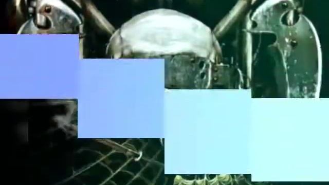 Картинки черепов смотреть онлайн