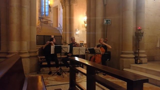 Music wedding Barcelona / Музыка на церемонии. Саграда Фамилия смотреть онлайн