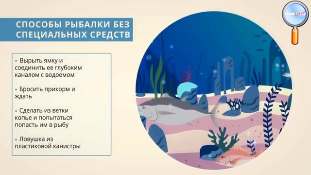 ОБЖ 10 класс урок №3 Автономное существование человека в условиях природной среды смотреть онлайн
