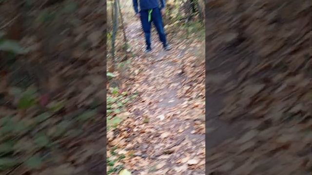 3 часть обзор на лоберинд??? смотреть онлайн