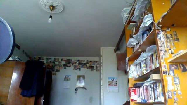 Примечание к стихотворению Александра Пушкина"Придёт ужасный час...твои небесны очи...". смотреть онлайн