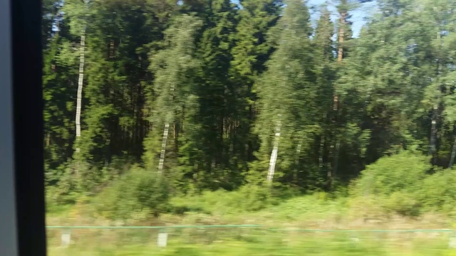 сапсан, вид из окна 