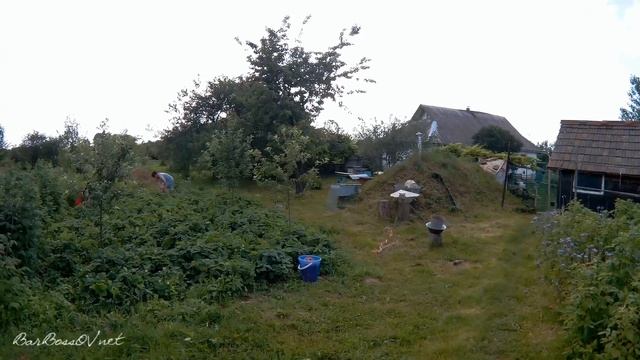 Собираем Клубнику у Друзей на Даче. смотреть онлайн