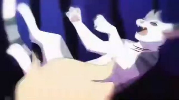 Коты воители|Cat warriors-the resistance на русском