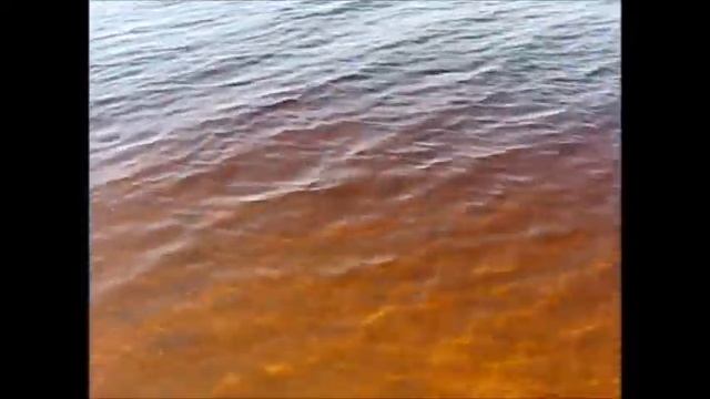 Селигерский край смотреть онлайн