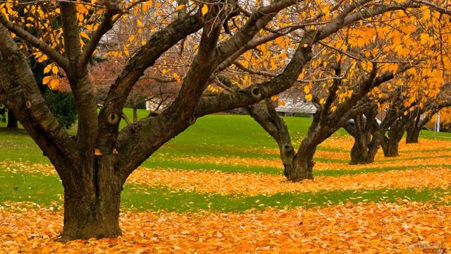 128 Память знает, что искать смотреть онлайн