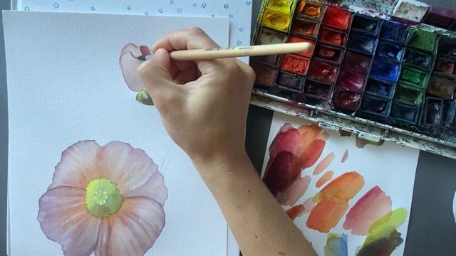 Мак акварелью в цвете смотреть онлайн