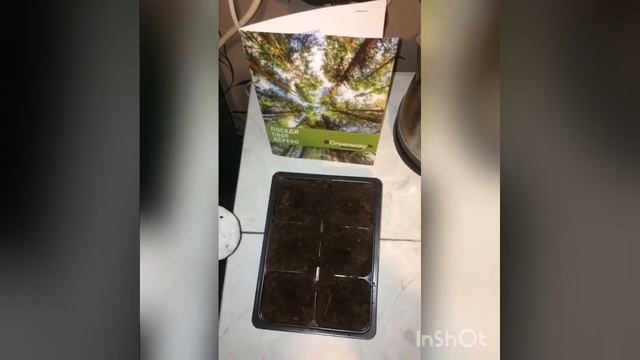 Улучшаем экологию планеты с GREENWAY смотреть онлайн