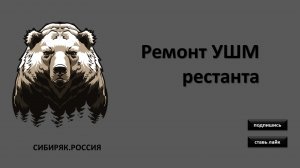 Ремонт УШМ  Ресанта