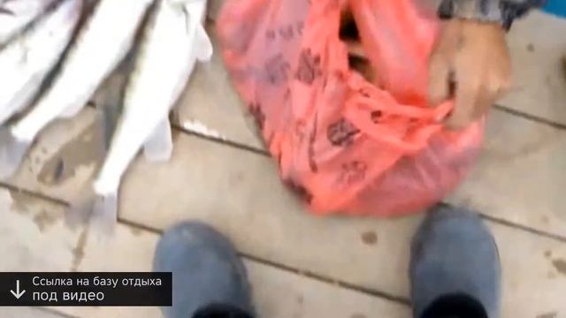 астрахань база отдыха волжанка смотреть онлайн