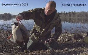 Весенняя охота 2023. Охота с подсадной уткой