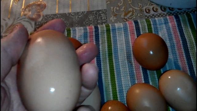 ??ОБЗОР ЯИЦ ЧЕТЫРЕХ КРОССОВ/ПОРОД КУР. Chicken Eggs Overview. смотреть онлайн