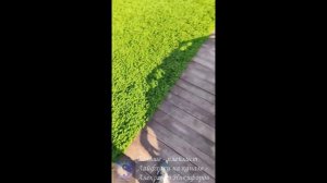 Лайфхак. Дорожка на пнд трубе.