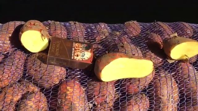 Картофель Родриго в мешках в разрезе | 8 343 300 92 06 смотреть онлайн
