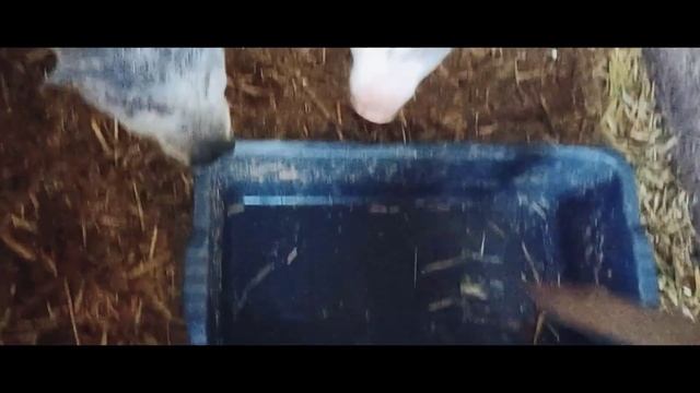 SELO BLOG #1 / Как правильно вести хозяйство?