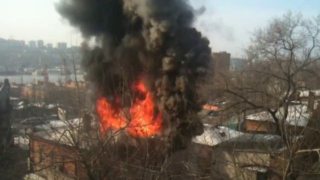 урок биологии!! пожар рядом с ул. ковальчука 6\1 смотреть онлайн