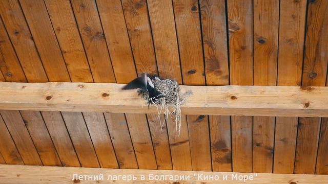 Летний лагерь в Болгарии "Кино и Море". Репортаж Кати Сизинцевой про столовую. кинолагерь смотреть онлайн