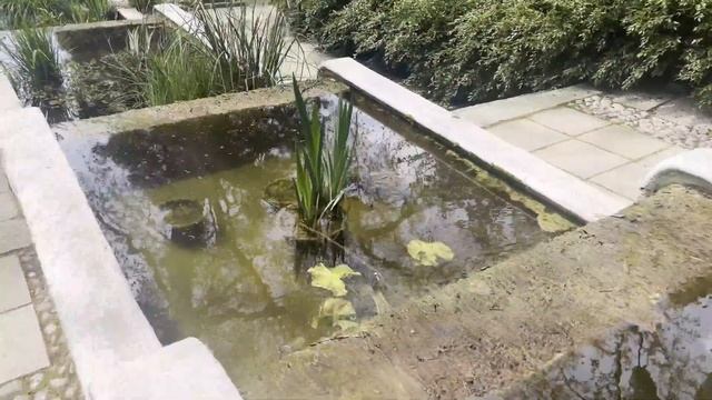 Никитский Ботанический Сад парад Тюльпанов)ТАКОЙ КРАСОТЫ ВЫ ЕШЕ НЕ ВИДЕЛИ)параллельная реальность смотреть онлайн