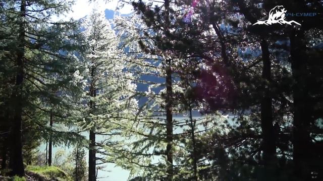 Lake Kucherlinskoe - KUCHERLA CAMPSITE смотреть онлайн