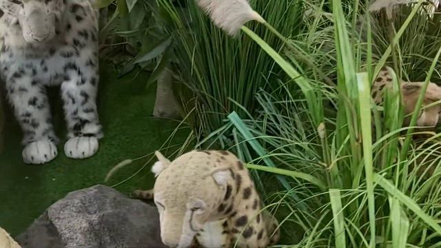 Москва тц Европейский смотреть онлайн