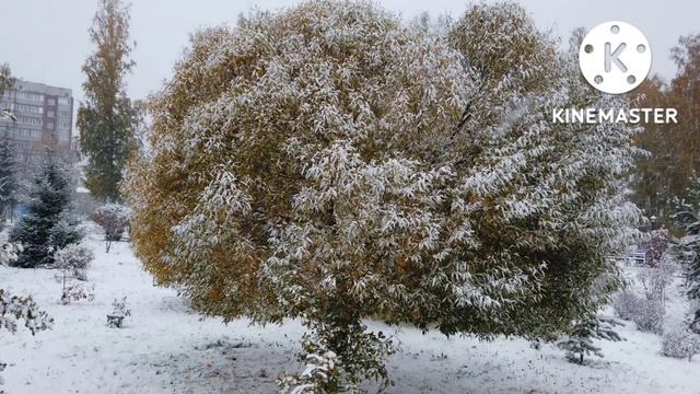 Снег, Снежище, Снежок.mp4 смотреть онлайн
