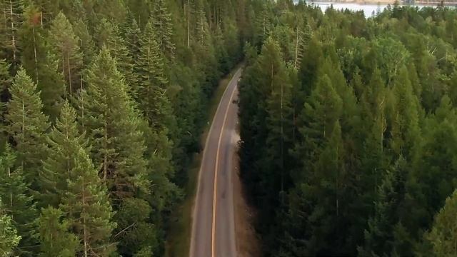 Музыка для сна ( sleep music ) смотреть онлайн