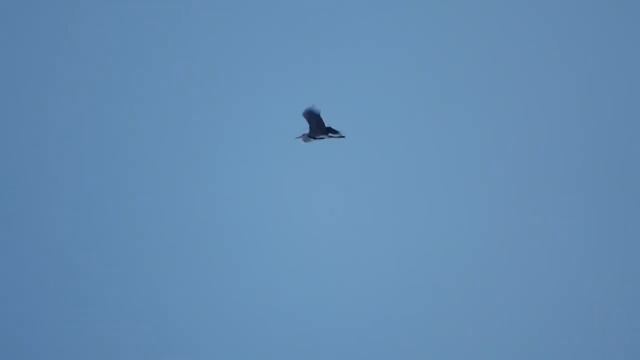 Как празднуют пасху в деревне смотреть онлайн