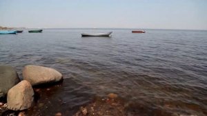 Звучание лиры на берегу Финского залива