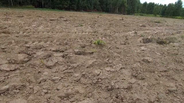 Не ждал. А он тут есть ! смотреть онлайн
