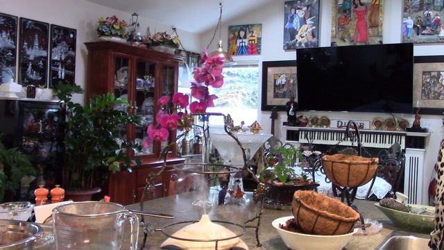 Two Orchids from Roehampton, Unboxing and Re-Potting смотреть онлайн