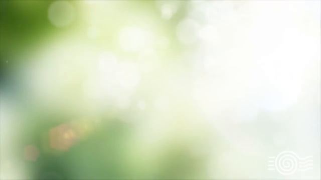 The Secret Universal Mind Meditation by Kelly Howell смотреть онлайн