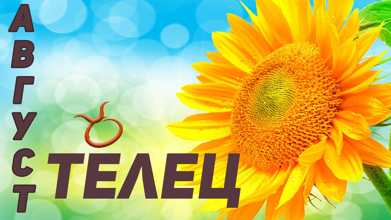 ? ТЕЛЕЦ – ТАРО ПРОГНОЗ на АВГУСТ 2022 года ?