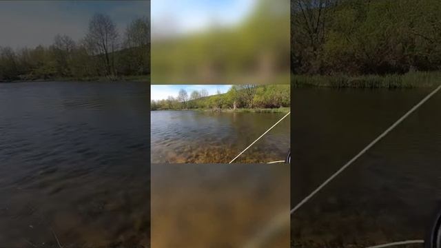 Рыбалка на голавля нахлыстом в Воронеже. Рыбалка на спиннинг надоела, поехали с палатками на природ смотреть онлайн