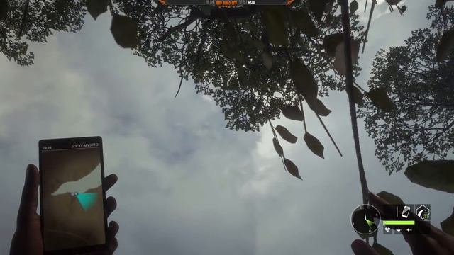 Игра где нужно выслеживать дичь - theHunter: Call of the Wild смотреть онлайн