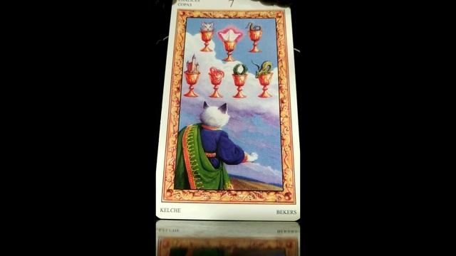 Таро:" Белых Кошек" масть кубков. 7 кубков смотреть онлайн