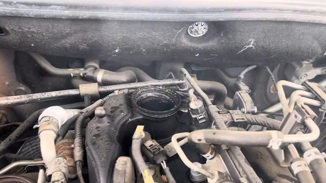 Разборка Volkswagen - Amarok 2010-2016, 2 (VIN: WV1ZZZ2HZGA033494) SY66YTX смотреть онлайн