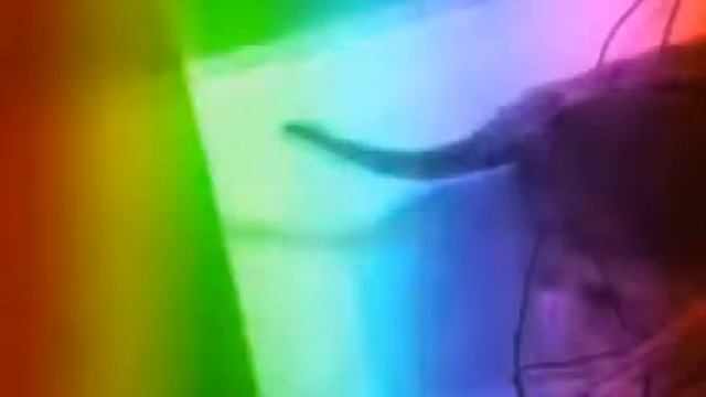 Тильда смотреть онлайн