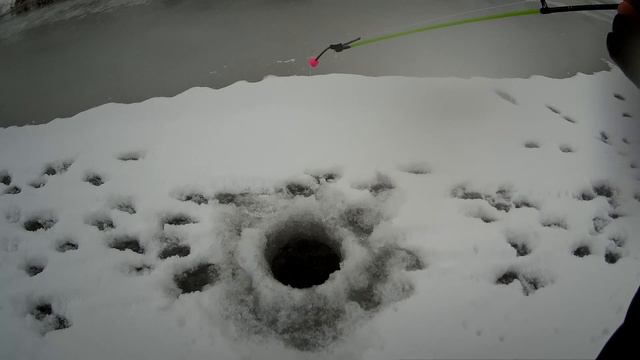 #рыбалка #рыбалканажерлицыПервый лёд 2020-2021. Рыбалка на жерлицы. смотреть онлайн