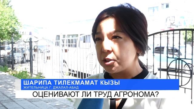 Оценивают ли труд агронома?