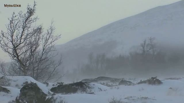 ♫ КОГДА ПРИРОДА В СОН ВПАДАЕТ !!!.mp4 смотреть онлайн