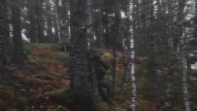 ДШРГ РУСИЧ смотреть онлайн